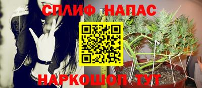 хмурый Бийск