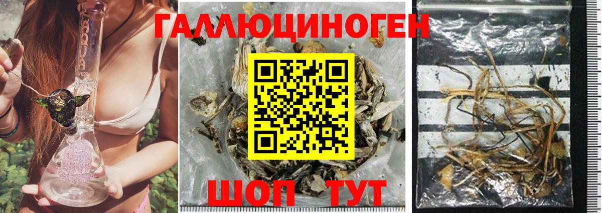 Галлюциногенные грибы Psilocybine cubensis  Вход с VPN  Жуковский 